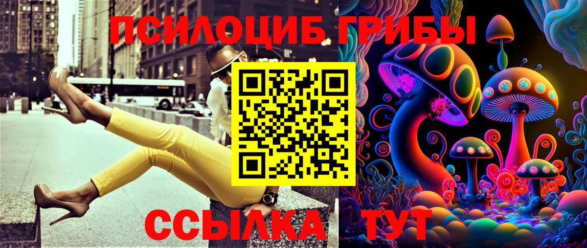 Галлюциногенные грибы Magic Shrooms  Вход с VPN  Тюмень  купить наркотики цена  Псилоцибиновые грибы GOLDEN TEACHER 